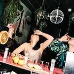 بيت شباب The Elephant & *