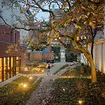 بيت شباب The Elephant &