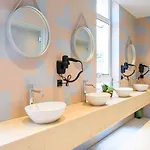 بيت شباب The Elephant &