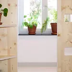 بيت شباب The Elephant &