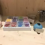 بيت شباب The Elephant & ماسترخت