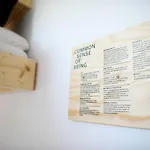 بيت شباب The Elephant &