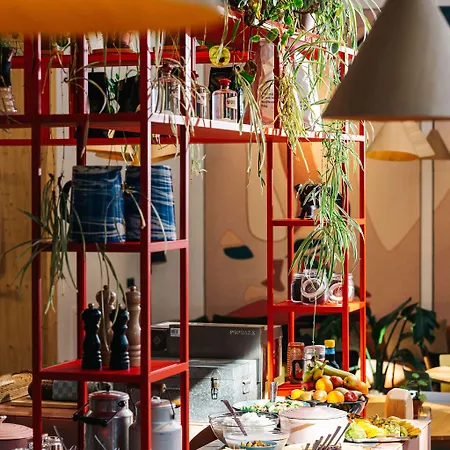 The Elephant & Hostel