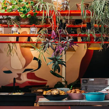 The Elephant Hostel&spa Maastricht