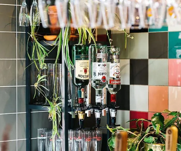 The Elephant & Hostel