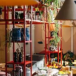 The Elephant & Hostel