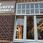 The Elephant & Hostel *