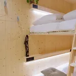 The Elephant & Hostel Maastricht