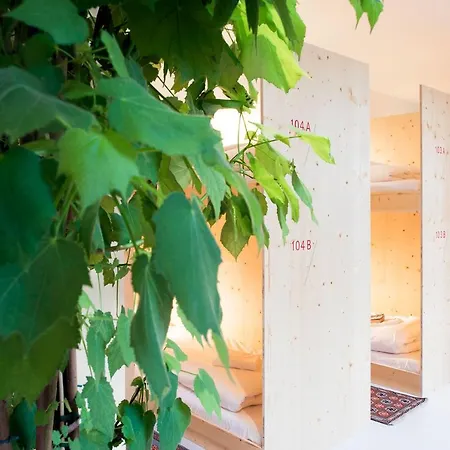 Hostel The Elephant Hostel&spa Maastricht