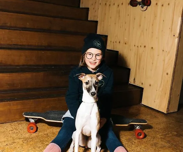 The Elephant & Hostel