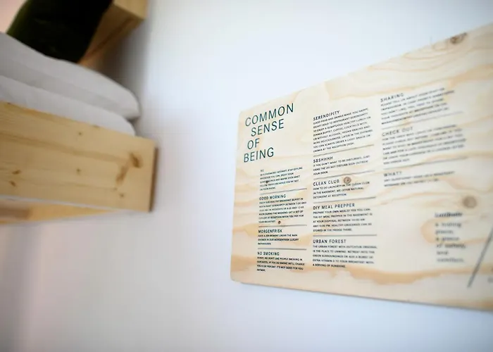 Auberge de jeunesse The Elephant &